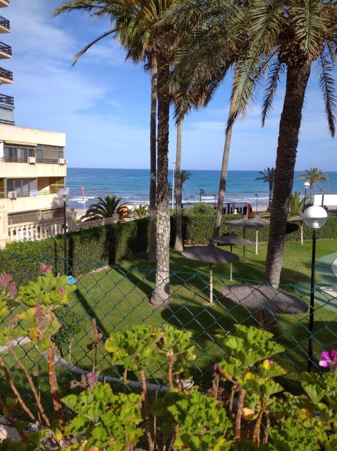 Lanzas Playa Muchavista San Juan El Campello